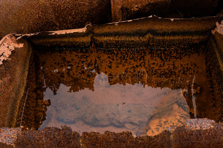 Standing water in rusted oil barrel at the Bluie East 2 abandoned American Air Base, Ikatek, East Greenland