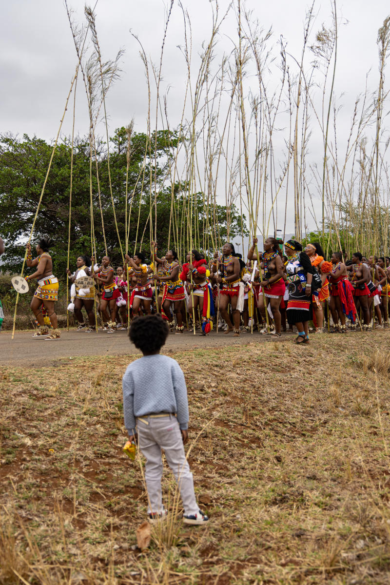 Reed Dance, Nangoma, Zulu-Natal