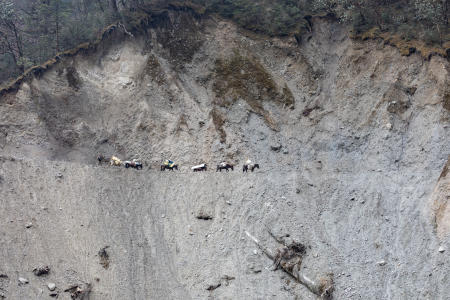 On the trail from Gasa to Koina. No vehicles - just pack animals for all supplies and materials.