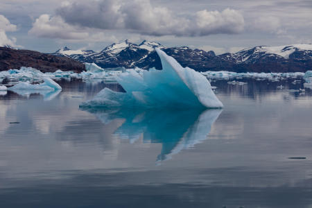 Icebergs in Petersens Fjord