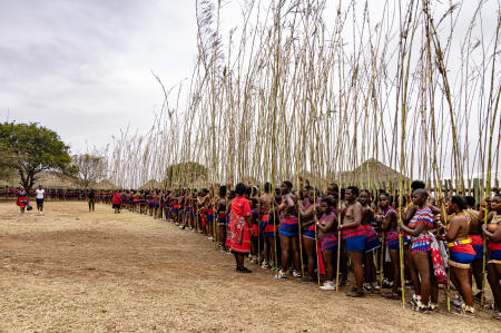 Maidens waiting to present their reed, Nangoma, Zulu-Natal